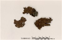 藏品(孔梅衣)的圖片